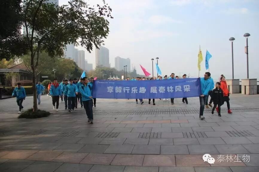 1768961731138397w9DA.jpg 2.jpg